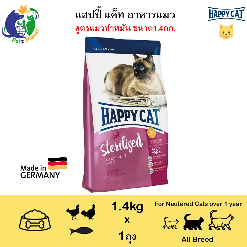 happy cat adult sterilised