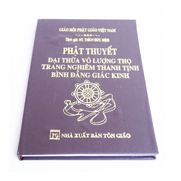 หนังสือ - Infinite Overcessed Great Buddha Thought Nghiem Thanh Tho Equal Equal Theory ( ปกหนัง )