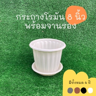 กระถางต้นไม้ กระถางต้นไม้พลาสติก กระถางโรมัน จานรองกระถางต้นไม้ 8 นิ้ว สีดำ สีขาว สีอิฐ สีเทา