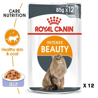 Royal Canin pouch Intense Beauty - Jelly อาหารเปียกสำหรับแมวที่ต้องการบำรุงขนและผิวหนัง (เยลลี่) x 12ซอง