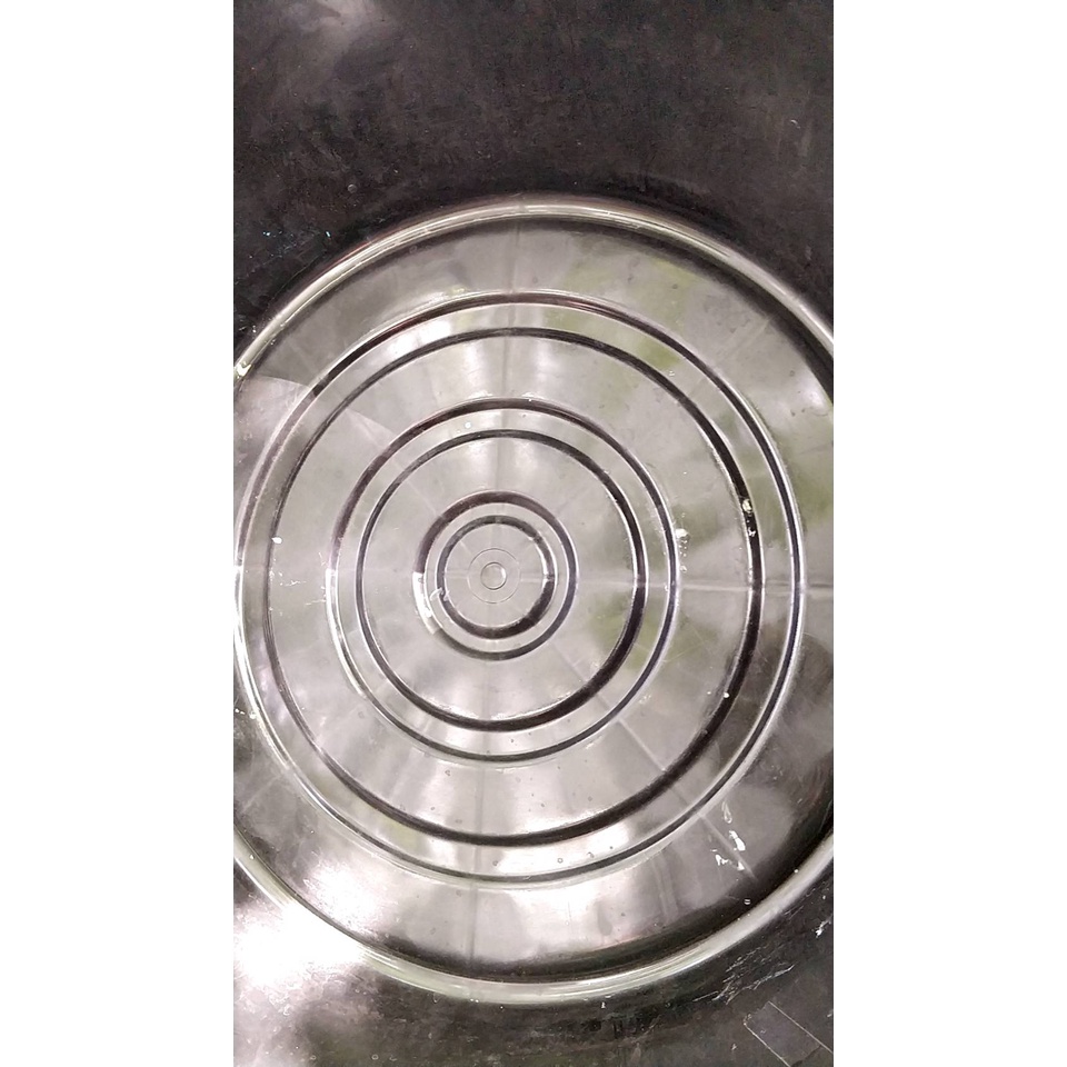 ชุดเลี้ยงด้วงสาคู กะละมัง  พร้อม ฝาปิด เพื่อการเลี้ยงด้วงสาคู ในกะละมังแบบง่ายๆ - รูปที่ 2