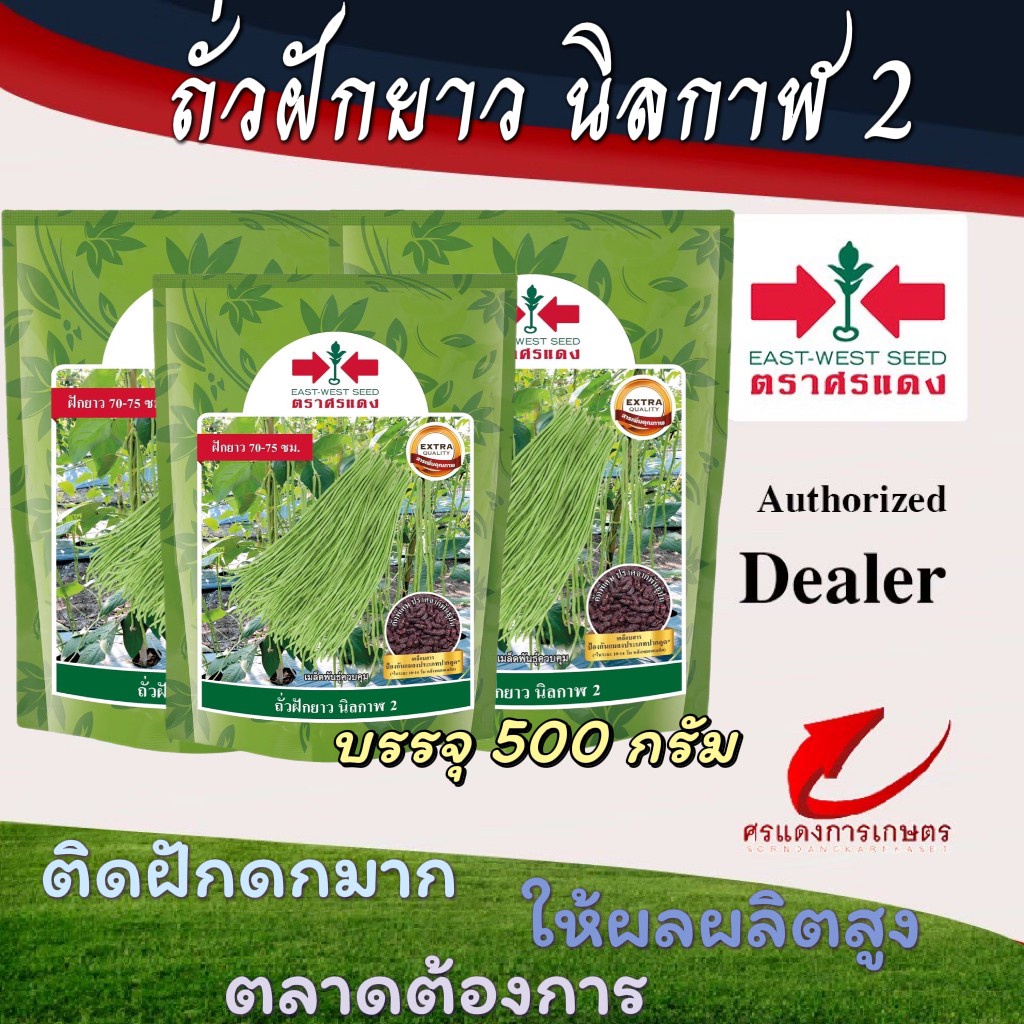 ถั่วฝักยาวนิลกาฬ 2 500g #เมล็ดพันธุ์ #เมล็ดผัก #เมล็ดพันธุ์ผัก #ถั่วฝักยาวง #ศรแดง