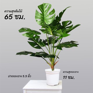 ต้นไม้ปลอม มอนสเตอรร่า พร้อมกระถาง มี 7 ใบ ฟอร์มต้นสวยๆ (เกรดพรีเมี่ยม) ต้นไม้ปลอมตกแต่งบ้าน ต้นมอนสเตร่าปลอม สูง 65 ซม.