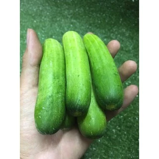 แตงกวาสด 🥒- ผักผลไม้สด