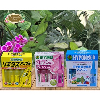 ปุ๋ยปัก HYPONEX AMPOULE และRIKIDUS AMPOULE