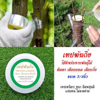 เทปพันกิ่ง ติดตา ทาบกิ่ง ขนาดกว้าง 3/4 นิ้ว ยาว 665ฟุต