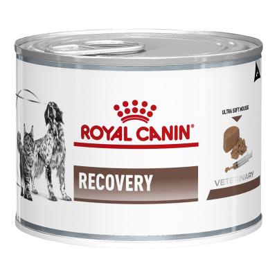 Royal Cacin Recovery อาหารสัตว์ป่วย พักฟื้น