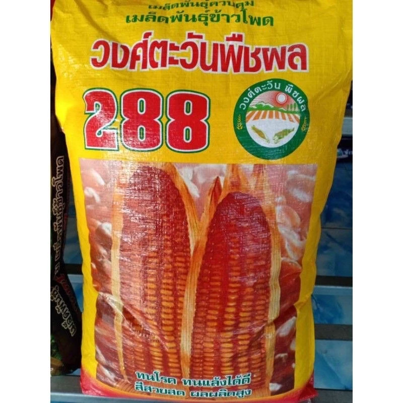 เมล็ดข้าวโพด 288 แบบแบ่งขาย 5 กิโล(พร้อมส่งด่วน)