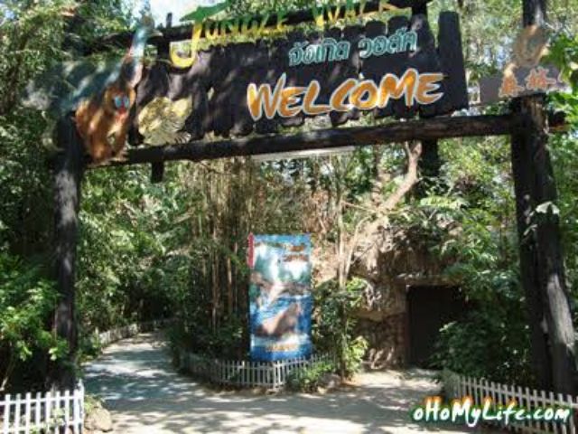 รูปภาพ 5