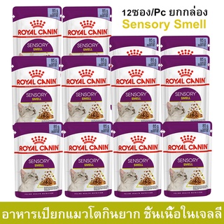 อาหารแมวเปียก Royal Canin Sensory Smell Jelly อาหารแมวกินยาก ชิ้นเนื้อในวุ้นเจลลี่ สำหรับแมวโตอายุ 1 ปีขึ้นไป 85ก (12ซอง