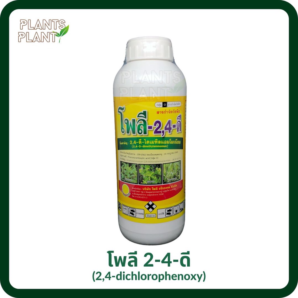 โพลี 2-4-ดี 1L สารกำจัดวัชพืช หญ้าในนาข้าว ข้าวไม่อาน ผักปอดนา เทียนนา ผักบุ้ง กก หนวดปลาดุก