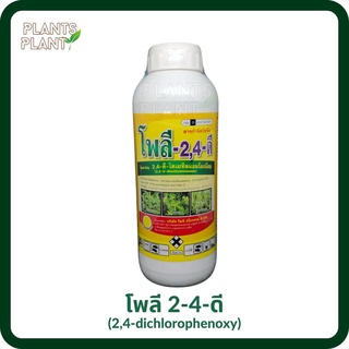 2-4-ดี (2,4-D DIMETHYL AMMONIUM) 1L สารกำจัดวัชพืชงอก หญ้าในนาข้าว ข้าวไม่อาน ผักปอดนา เทียนนา ผักบุ้ง กก หนวดปลาดุก แห้