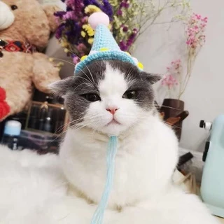 [🚚 พร้อมส่ง] ผ้ากันเปื้อนวันเกิดสัตว์เลี้ยง แมว สุนัข Birthday Bib Mouth Towel ผ้าพันคอแมว