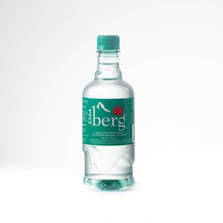 DM ICEBERG PURE WATER - PET BOTTLE 500ml. (24/ลัง)