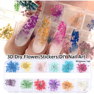 🪴ดอกไม้แต่งเล็บ ดอกไม้แห้ง ดอกไม้ฝังลาย 3D Nail Dry Flowers