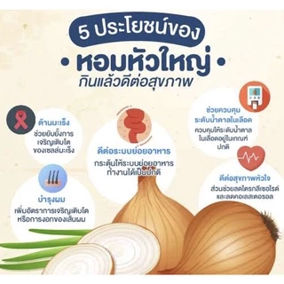 ผงหัวหอม ผงหัวหอมใหญ่ ออร์แกนิค 100% ไม่ผสมสารปรุงแต่งใดๆ กลิ่นหอม เกรดA หัวหอม Organic Onion Powder