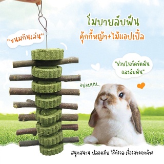 🐾shop_nalika🐾คุ๊กกี้ทิโมธี+ไม้แอปเปิ้ล สำหรับสัตว์ฟันแทะ 💕 โมบายลับฟัน ของเล่น กระต่าย แกสบี้ ชินชิลล่า กระรอก แพรี่ด๊อก