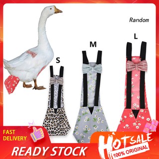 •RAN•Elastic Back Belt Bow Nappy Poultry Cloth Diaper for Goose Duck Chicken Hen