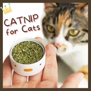 catnip กัญชาแมว ผงแคทนิป ในกระปุกรูปไก่น่ารัก