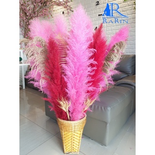 Rarin กระบุงแจกัน พร้อมดอกเลาย้อมสี โทน สีชมพู ขนาด 90 cm. รวมกระบุง เป็นดอกไม้ธรรมชาติย้อมสี  ดอกฟูสวยมาก