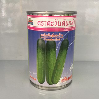 แตงร้าน กรีนบลู 20g ตะวันต้นกล้า