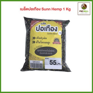 เมล็ดพันธุ์ปอเทือง SUNN HEMP รับประกันคุณภาพ งอก 100%