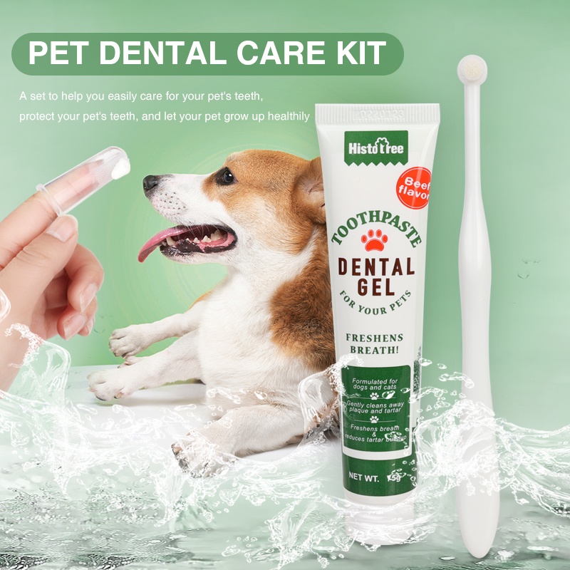 Kutiepom [ส่งจากไทย] ชุดยาสีฟัน แปรงสีฟัน ปลอกแปลงฟัน สำหรับสุนัขและแมว Pet Toothpaste, Brush and Silicon finger brush