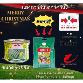 เมล็ดพันธุ์ แตงกวาธันเดอร์กรีน2 50g แถมกุซิก้าจีซองเล็ก