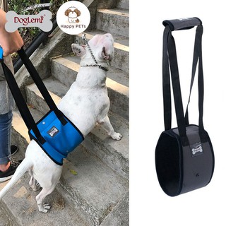 Happy PETs 🐶 DogLemi ที่พยุงตัวสุนัข LIFT HARNESS ลดแรงกระแทกที่ข้อเข่า ข้อสะโพก ช่วยพยุงตัว