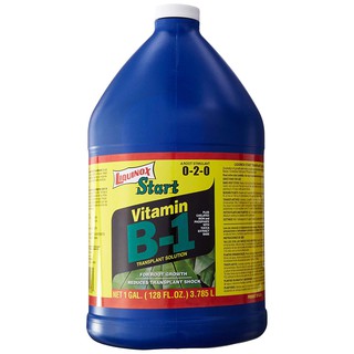 B1 เร่งราก Liquinox Start (USA) นำเข้าจากอเมริกา ยาเร่งราก บี1 ฟื้นฟูต้นไม้  เร่งรากแคคตัส 3.785 ลิตร (1 แกลลอน)