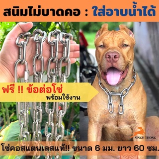 SINGHTHONG ปลอกคอโซ่ โซ่คอสแตนเลส ปลอกคอสุนัขทนๆ ปลอกคอสุนัขโต หนา 6 มม. สำหรับสุนัขขนาดใหญ่