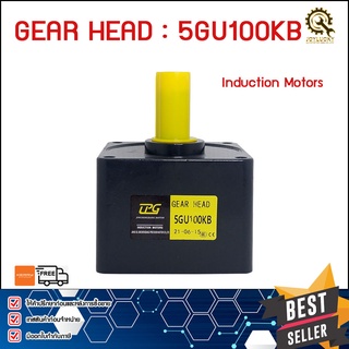 GEARHEAD MOTOR CPG 5GU100KB