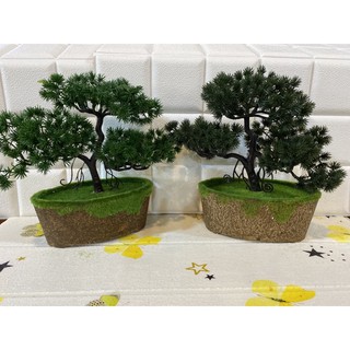ต้นบอนไซปลอม ขนาด20x29cm ต้นละ 189บาท