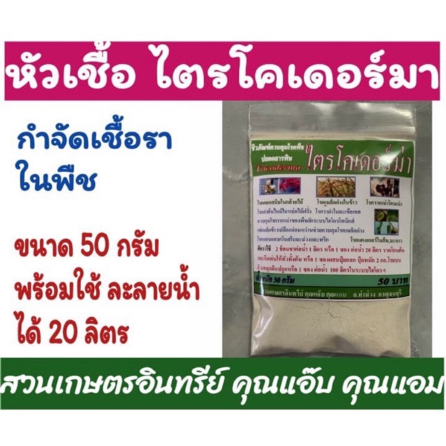หัวเชื้อ ไตรโคเดอร์มา 50 กรัม พร้อมใช้ ละลายน้ำใช้ได้เลย แก้เชื้อรา ใบสนิม ใบเหลือง โรครากเน่า โคนเน่า โรคแคงเกอร์