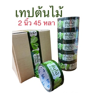 เทปต้นไม้🍀🌱 2 นิ้ว 45 หลา (ม้วน) OPP tape ปิดกล่อง ติดกล่อง สก็อตเทป tree tape เทประวังแตก