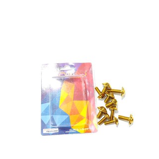 น็อตเลส ชุดสี MSX 125 SF หัว H-2 สีทอง รหัสสินค้า C041427