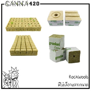 Rockwool 4cm / 4inch / 6inch / แบบแผ่น / ร็อควูล 3/5/10 ชิ้น เพาะปลูกต้นกล้าเมล็ดพันธ์ุ เพาะชำ ไฮโดรโปนิกส์ ROCKWOOLS