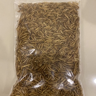 หนอนนกอบแห้ง (50g) หนอนนก Dried Mealworms เหมาะสำหรับชูการ์ไกลเดอร์, กระรอก, เม่น, แพรีด็อก แฮมเตอร์ และสัตว์เลื้อยคลาน