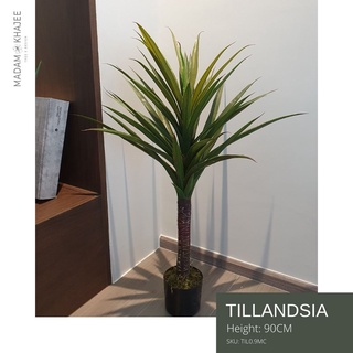 Tillandsia ต้นทิลแลนเซีย  ขนาดสูง 90 CM ต้นไม้ปลอมเกรดพรีเมี่ยม มาดามขจี  Premium Artificial Plant