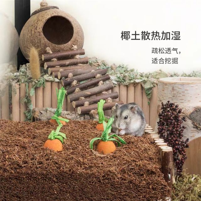 ร้านโทโมะ   (อ่านก่อนน้า) แครอทของเล่น แต่งกรง ลับฟัน แฺฮมสเตอร์ เจอร์บิล ราคา ถูกที่สุด ดีลบีเคเค แกลเลอรีภาพที่ 6