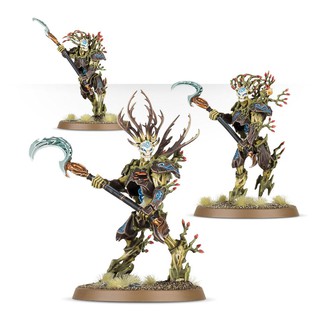 Warhammer AOS: SYLVANETH KURNOTH HUNTERS