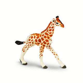 Safari Ltd. : SFR268529 โมเดล Reticulated Giraffe Baby