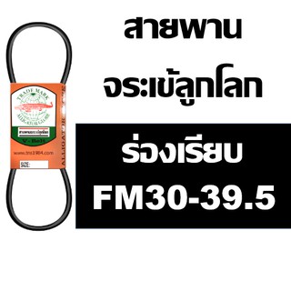 จระเข้ลูกโลก สายพาน ร่อง FM ร่องเรียบ FM30 FM31 FM32 FM33 FM34 FM35 FM36 FM36.5 FM37 FM37.5 FM38 FM38.5 FM39 FM39.5