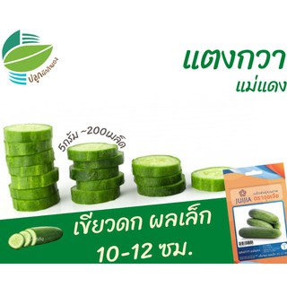 แตงกวาแม่แดง (Cucumber)​