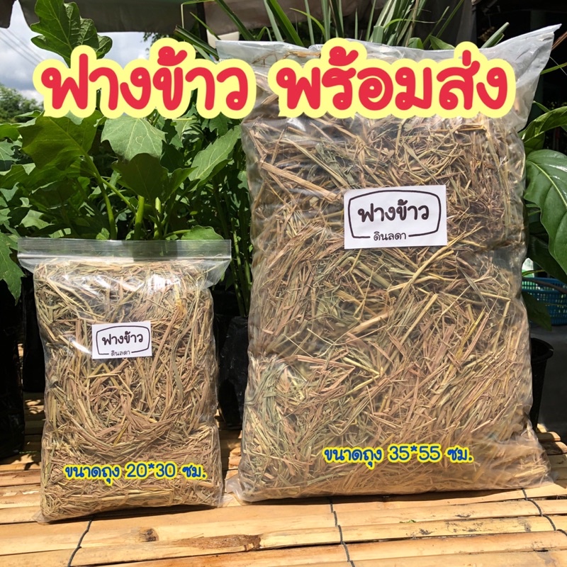 ฟางข้าว ฟางแห้ง ร้านดินลดา สินค้าพร้อมส่ง