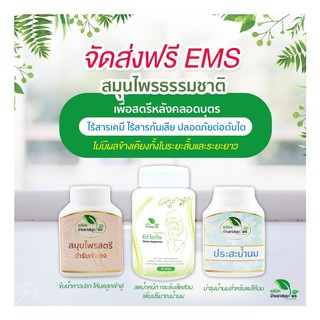 [ฟรี!! ems]สมุนไพรธรรมชาติ เพื่อสตรีหลังคลอดบุตร