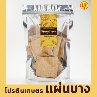 โปรตีนเกษตรเจ แผ่นบาง แผ่นหนา สี่เหลี่ยม 10 ชนิด วัตถุดิบเจ …