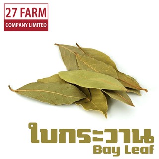 ใบกระวาน 500 กรัม - 1 กิโล(1000 กรัม) #ใบเบย์ Bay Leaf เครื่องเทศ เครื่องปรุงรส เครื่องเทศอบแห้ง