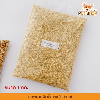 มิลเล็ตขาว สำหรับนกค๊อกคาเทล-หงส์หยก-เลิฟเบิร์ด แบ่งขาย (ขนาด 1kg.)