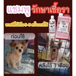 แชมพูดูแลผิวสัตว์เลี้ยงจากเชื้อรา ขี้เรื้อน/ยีสต์ ขนาด 1 ลิตร (อาการดีขึ้นใน 2-3 ครั้งที่ใช้)